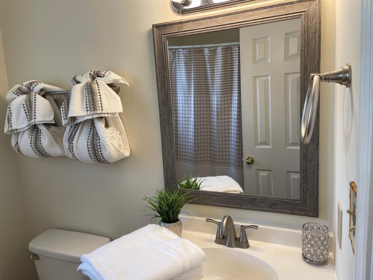 Pet- Friendly, & Close To Uptown Charlotte Exteriör bild